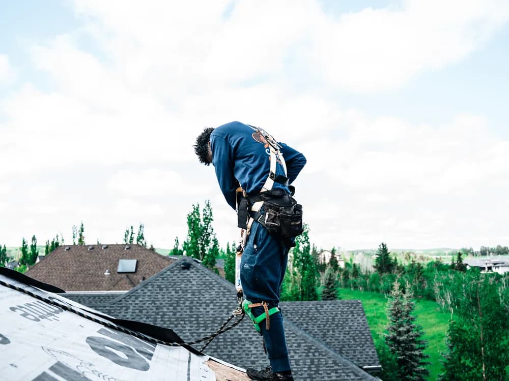Calgary Roofing Pro crew member in a harness installing shingles on a steep roof