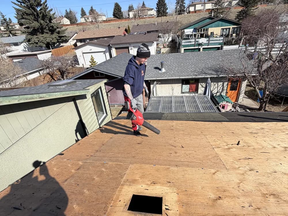 Roof decking exposed after tear off, showing the plywood sheathing underneath