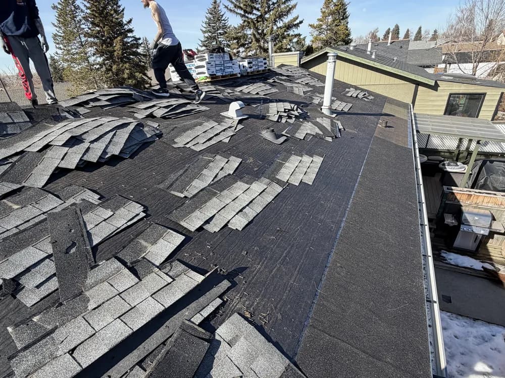 Worn asphalt shingles lifted and stripped from a Calgary roof during tear off