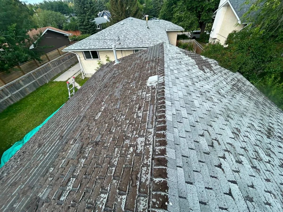 Old three-tab asphalt shingles, faded and worn bare, with heavy granule loss across both slopes before replacement