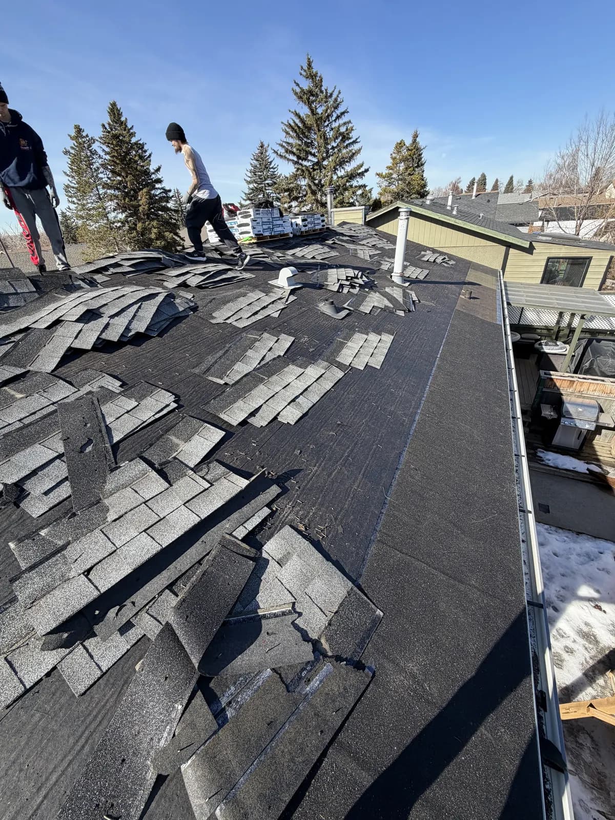 Old asphalt shingles being stripped off a Calgary bungalow roof