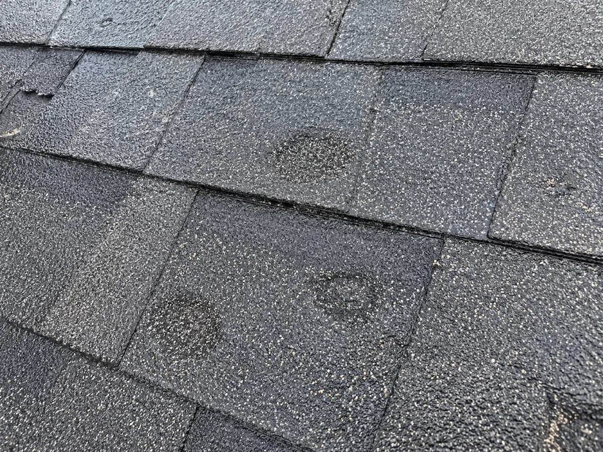 Close-up of hail bruising and granule loss on asphalt shingles